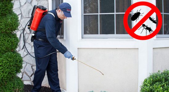 Güney Kemirgen İlaçlama böcek ilaçlama ve haşere kontrolü — ilaclama-tr.com